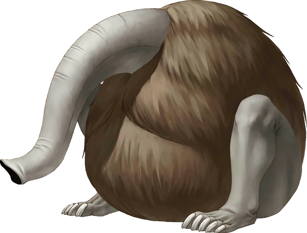 Nozuchi